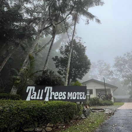 Tall Trees Motel Mountain Retreat Mount Tamborine Exterior photo