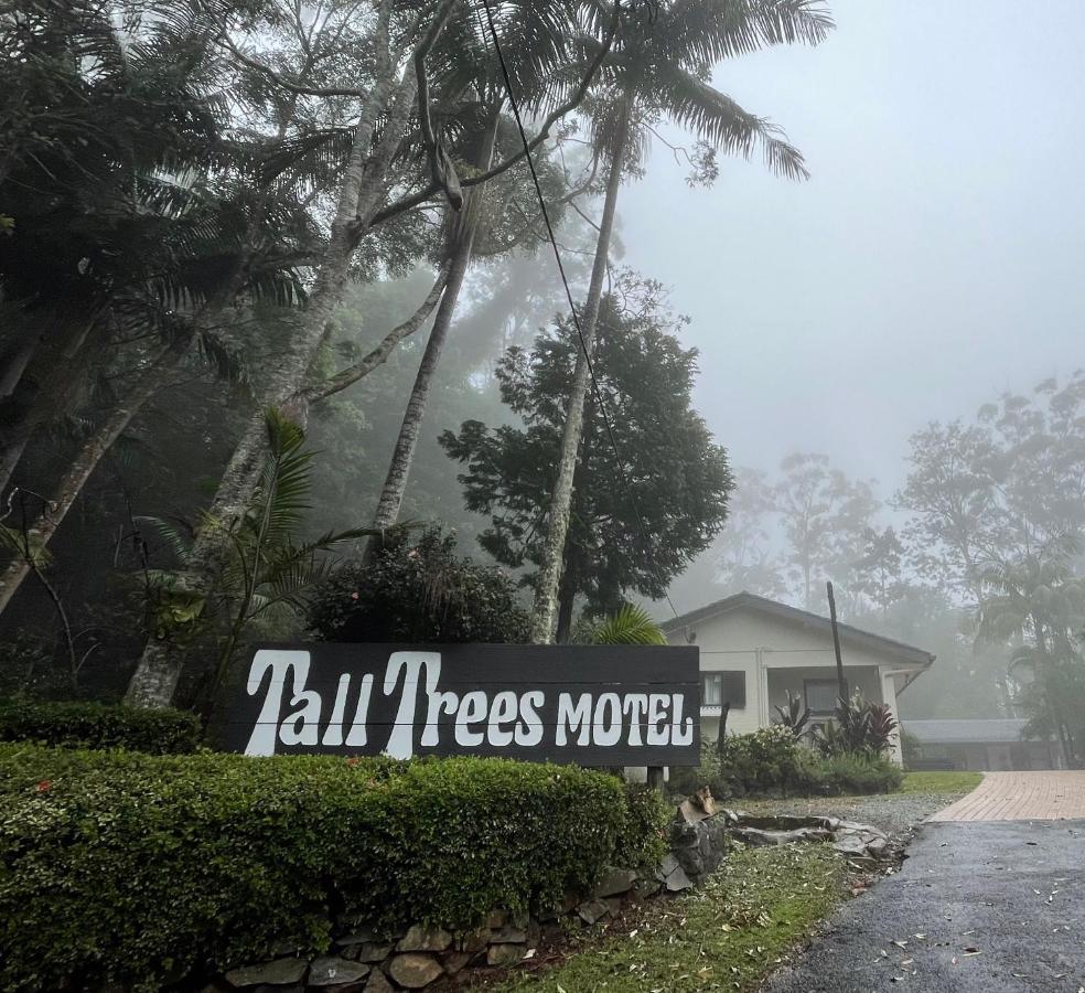 Tall Trees Motel Mountain Retreat Mount Tamborine Exterior photo
